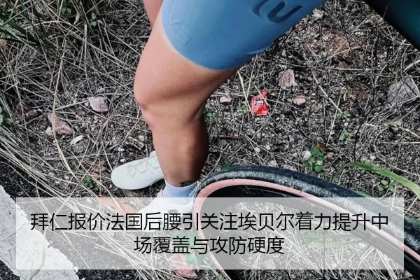 拜仁报价法国后腰引关注埃贝尔着力提升中场覆盖与攻防硬度